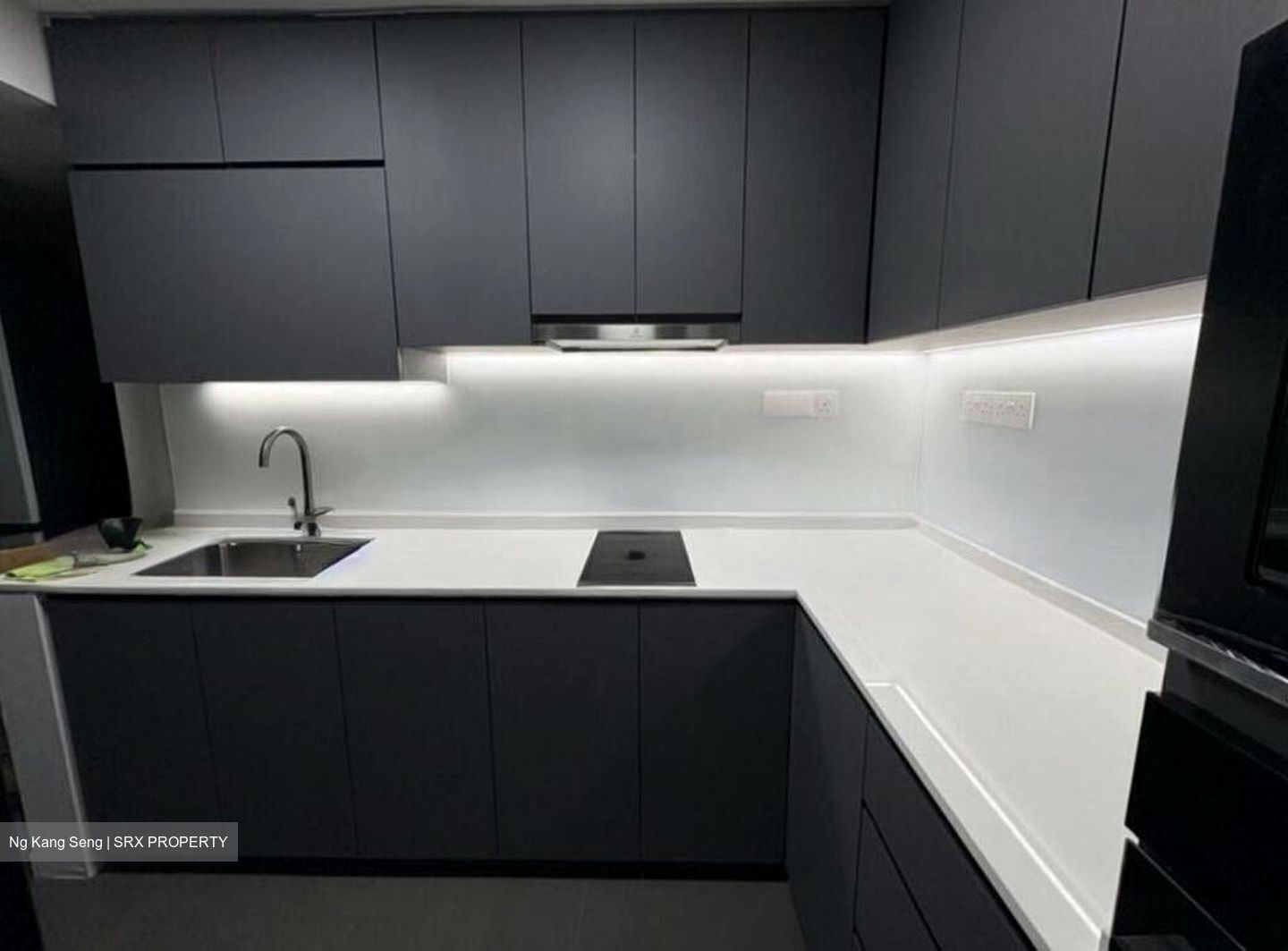 The Esparis (D18), Condominium #507255241